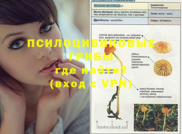 mix Армянск