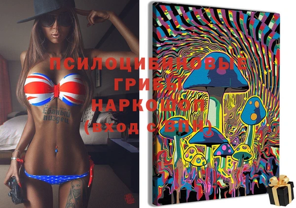 MDMA Premium VHQ Аркадак