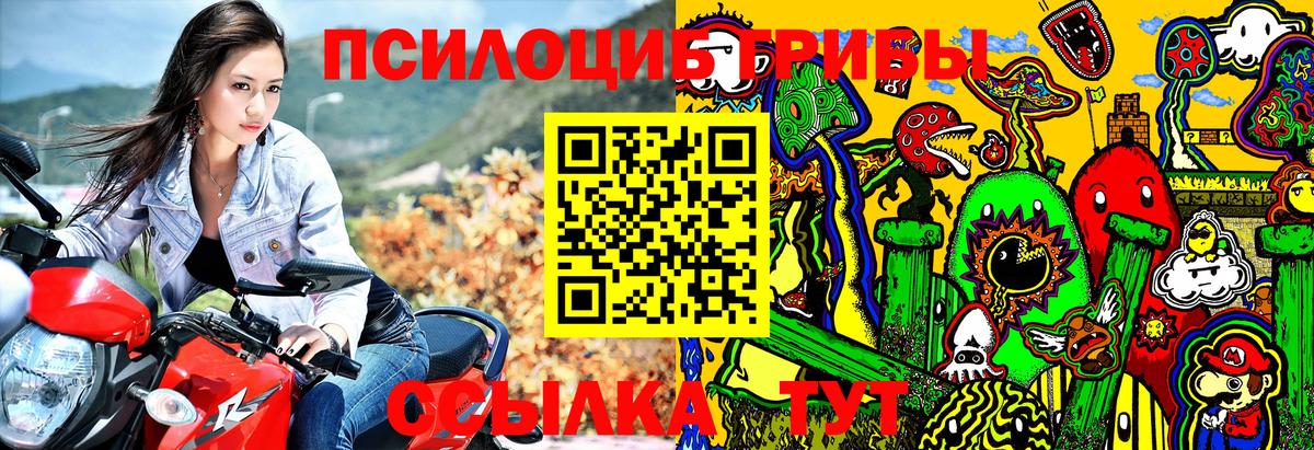 Галлюциногенные грибы мицелий  Вход с VPN  Татарск 